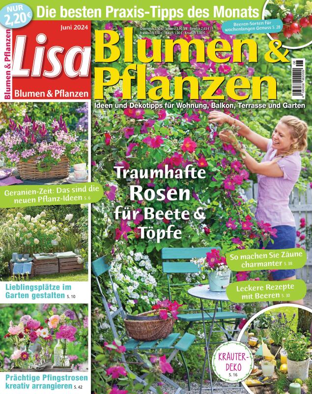 Lisa Blumen & Pflanzen Cover